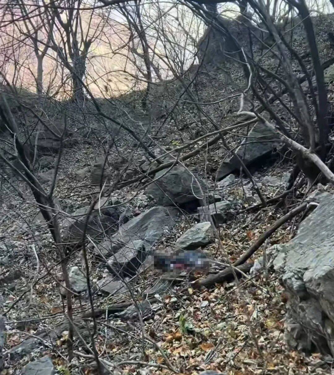 确认遇难!年仅29岁