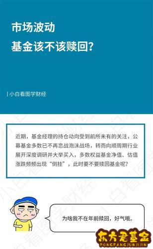 理财是基金吗(基金和理财哪个更安全)