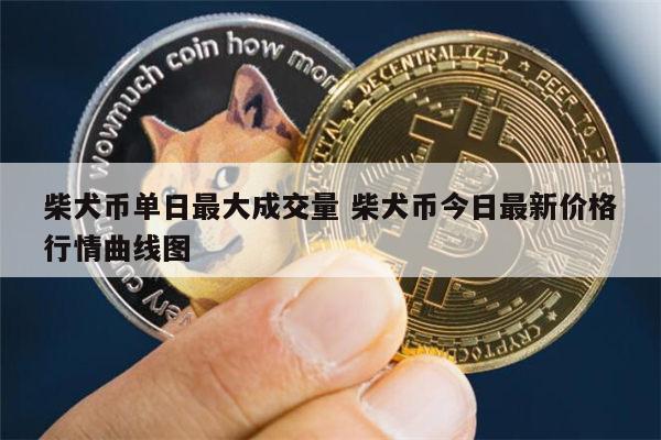 狗狗币今日最新价格(狗狗币今日最新价格多少美元一个)